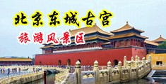 大乳美少妇中国北京-东城古宫旅游风景区